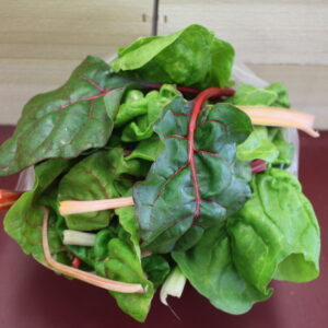 Swiss Chard