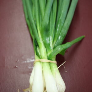 Spring Onions