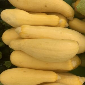 Yellow Squash - 1 lb