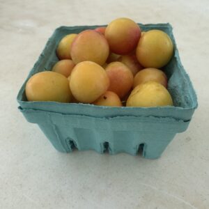 Golden Plums - 1 Pint