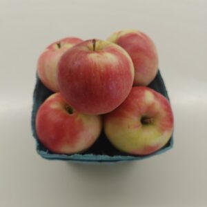 Sansa Apples - 1 Quart