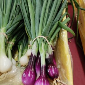 Spring Onions - Purple