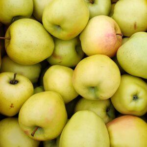 First Grade - Gingergold 1/2 Bushel